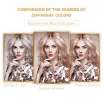 Custom Paint by Numbers Kit from Your Photo Colours