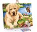 Paint by Numbers Canvas
