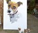 Personalized Paint by Numbers Turn Your Photos Into Stunning Art